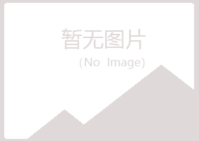 泾阳县初夏化学有限公司